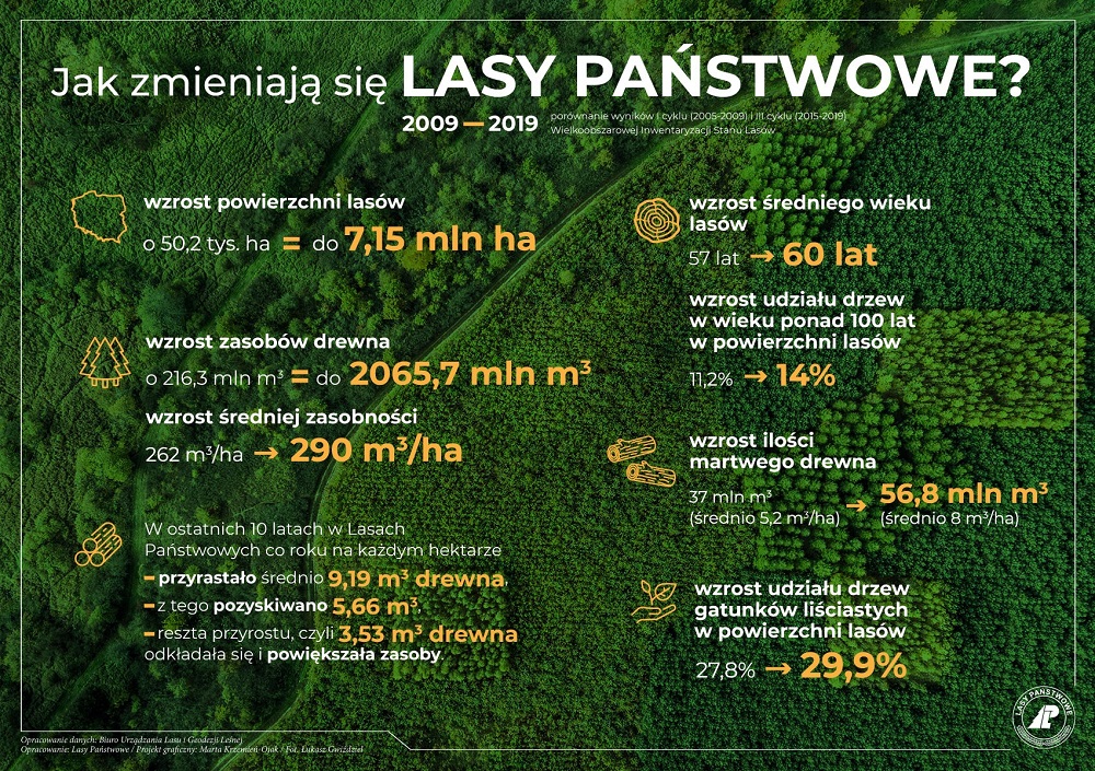 Infografika przedstawiająca dane o lasach w Polsce. Źródło CILP.