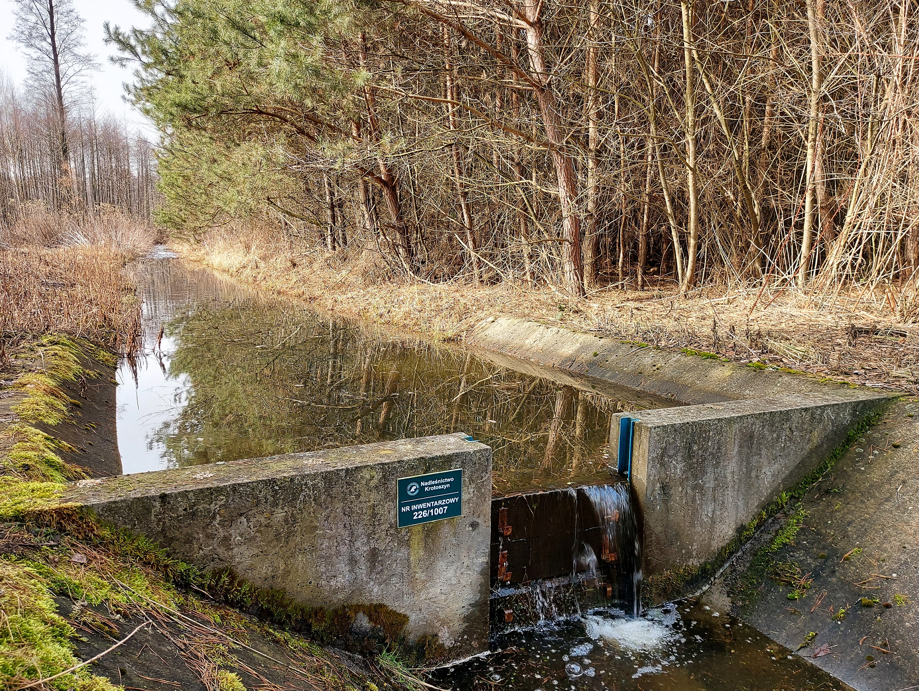 Zdjęcie przedstawia zastawkę na kanale w leśnictwie Wielki Bór. Fot. Przemysław Świerblewski (Nadleśnictwo Krotoszyn)