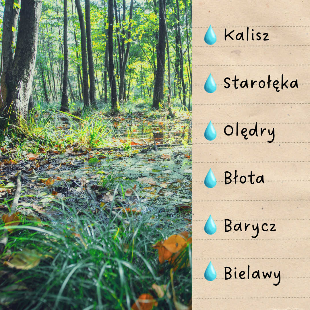 Grafika przedstawia zestawienie zdjęcia podmokłego lasu i listy nazw lokalizacji związanych z mokradłami.