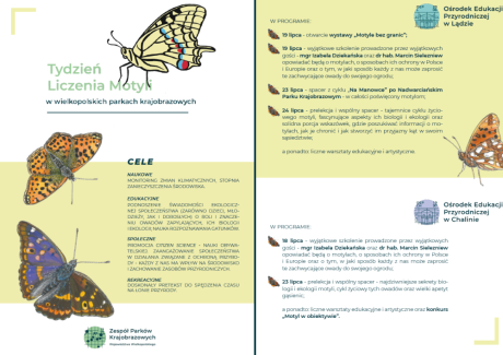 tydzień liczenia motyli w wielkopolskich parkach krajobrazowych
