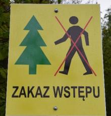 Uwaga! Zabiegi ratownicze w lasach